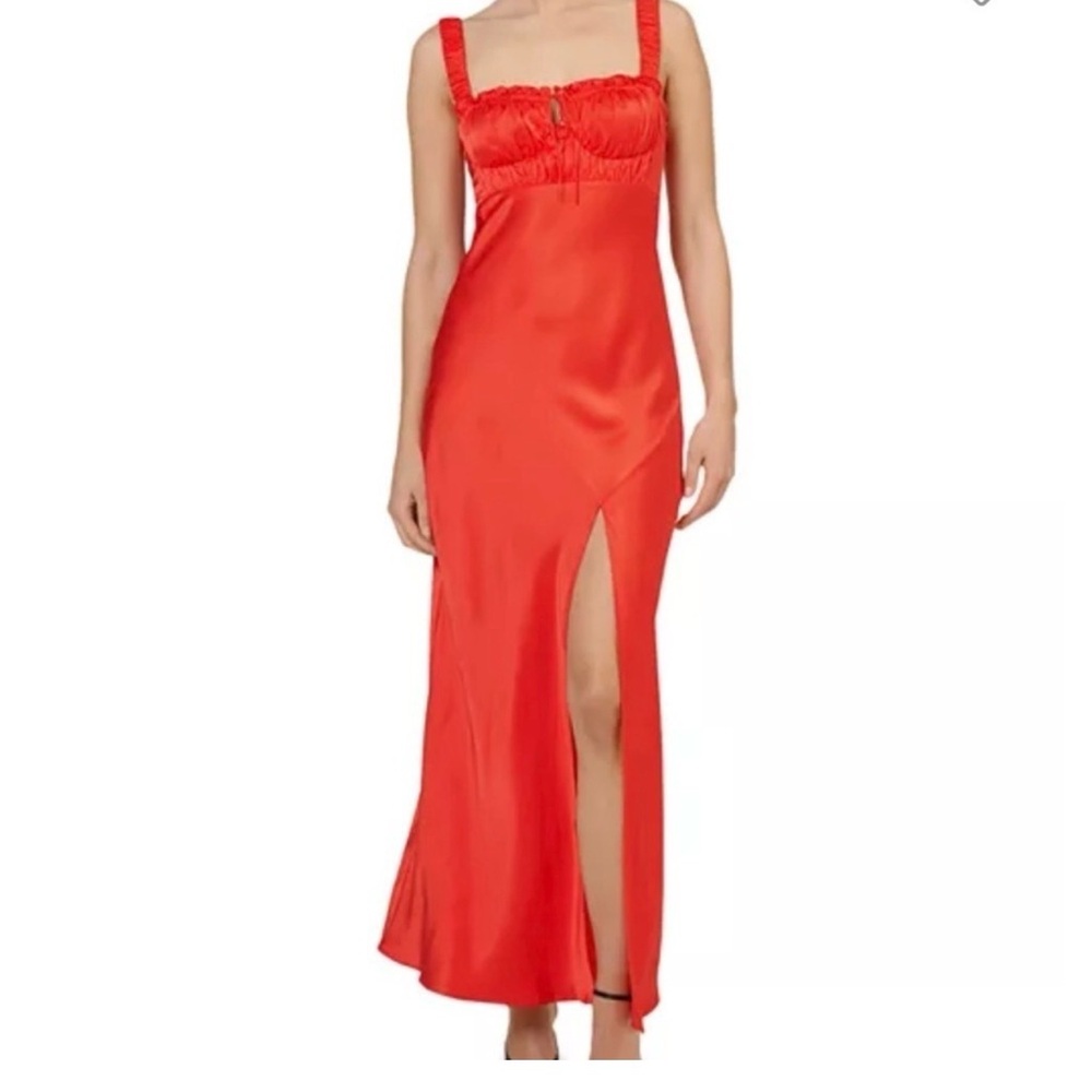 Nicolas Nina silk dress with ruched bra cups